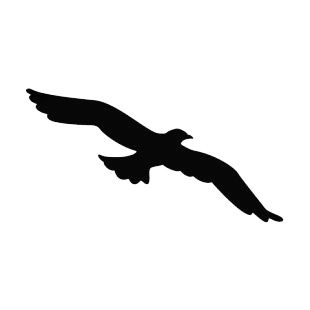 Flying Bird Transparent Clipart