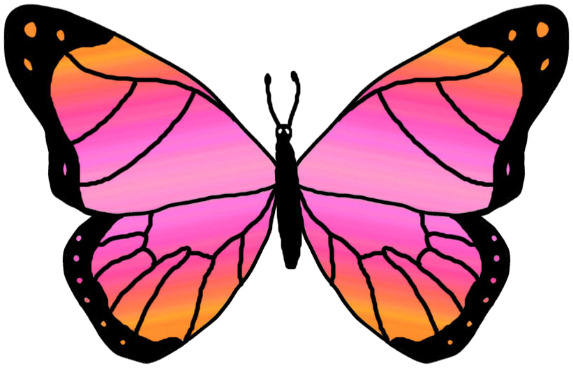Butterfly Free Clipart