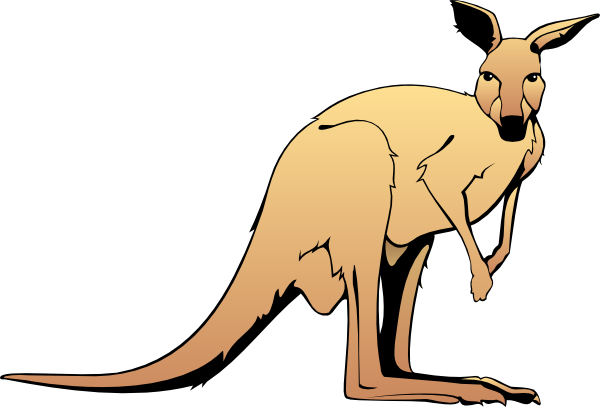 Baby Kangaroo Image