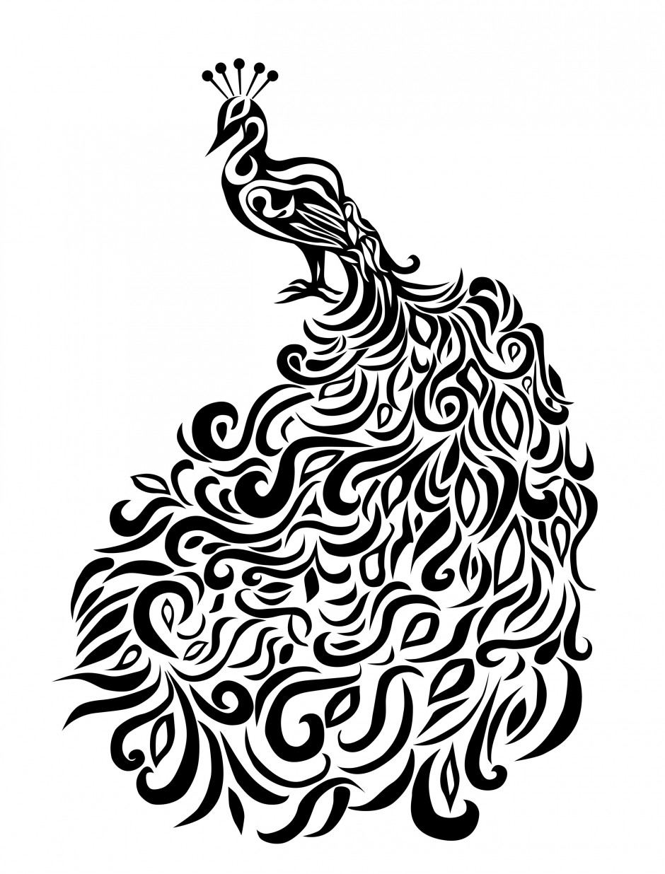 peacock drawing black and white - Clip Art Library