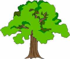 Forest Habitat Cliparts