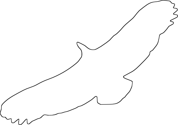 Raven Outline Cliparts