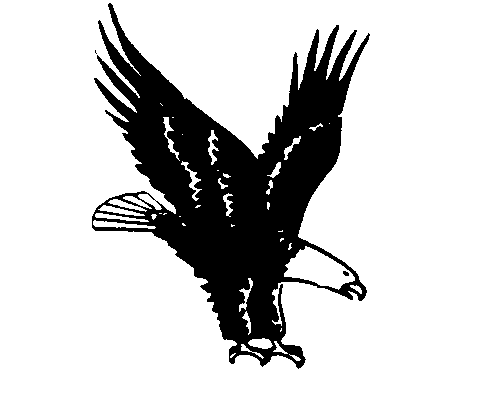 Black white eagle clip art image gallery