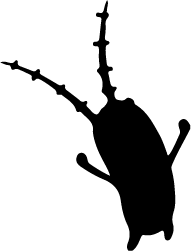Spongebob Plankton Cliparts