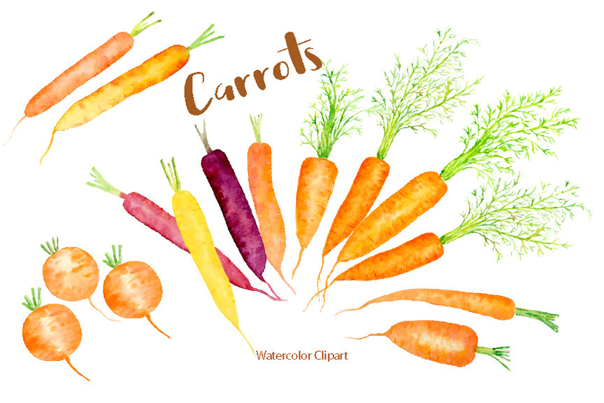 Watercolor Clipart Carrot illustration rainbow by CornerCroft