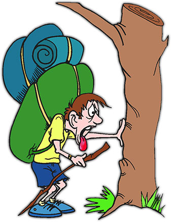 Camping Bear Cliparts
