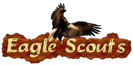 Eagle Scout Project Clipart