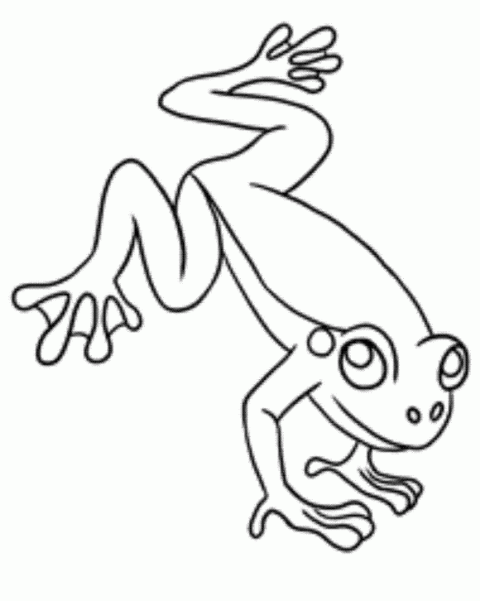Tree frog clipart black and white