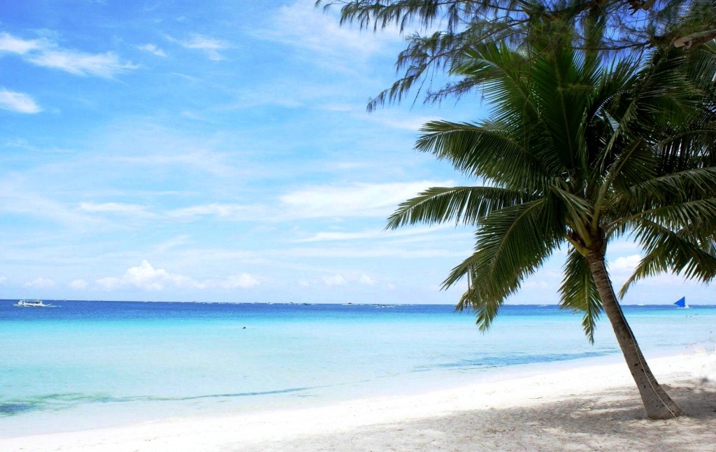 Natural Beach Cliparts