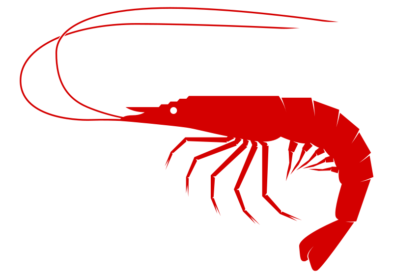 Squid Cliparts Public Domain