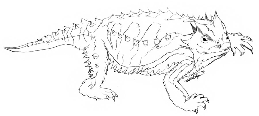 horned lizard coloring page - Clip Art Library
