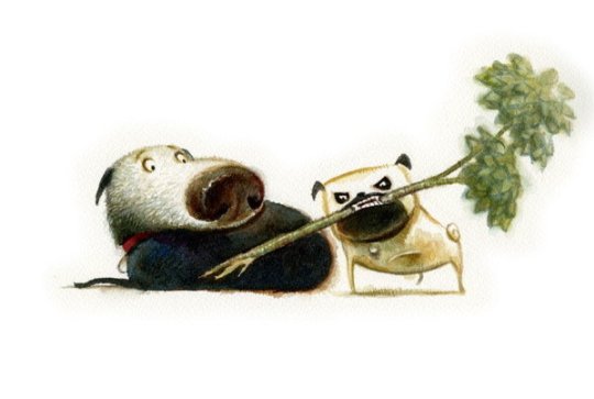 Zorro Dog Cliparts