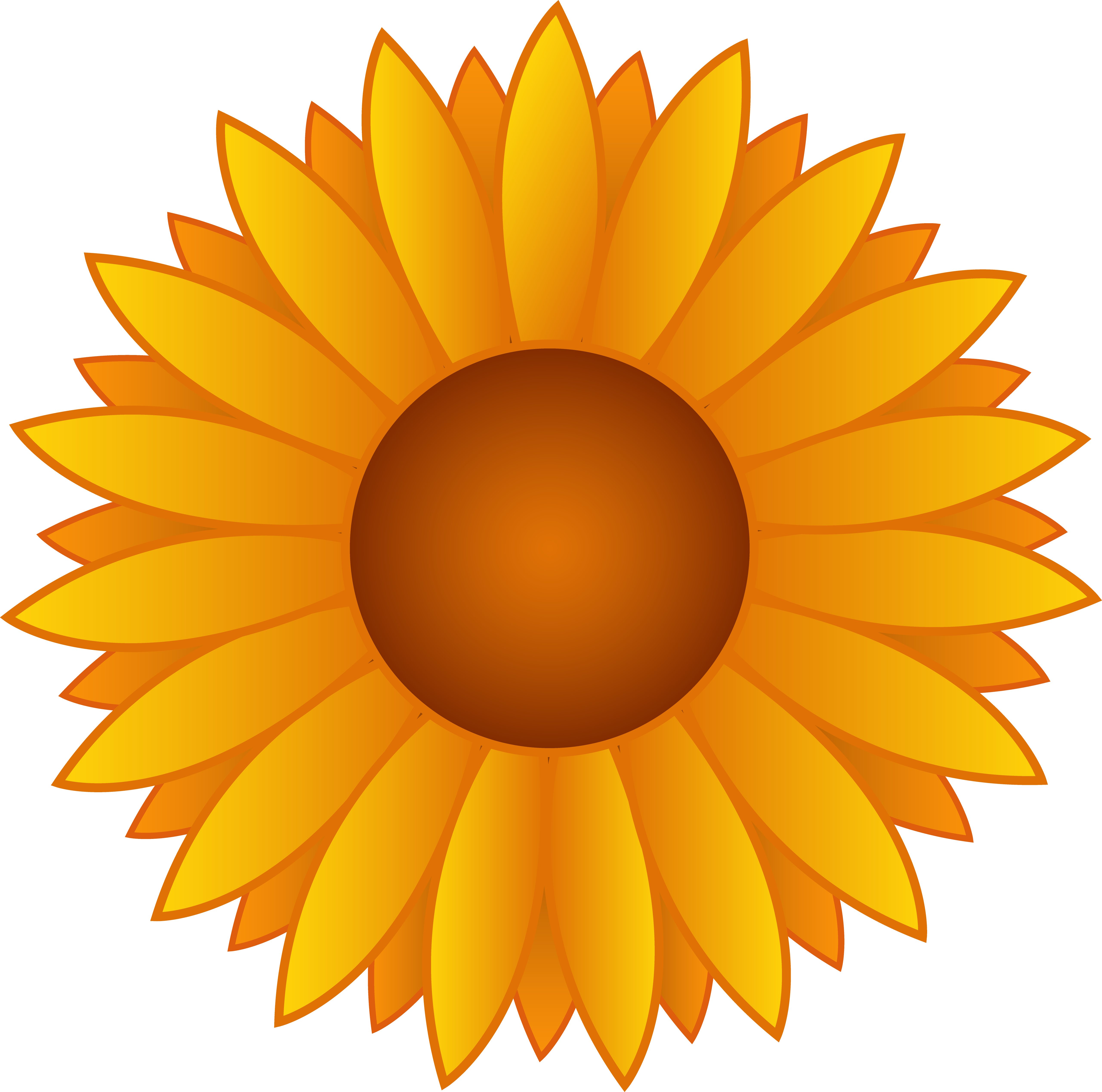 Sunflower clipart without background