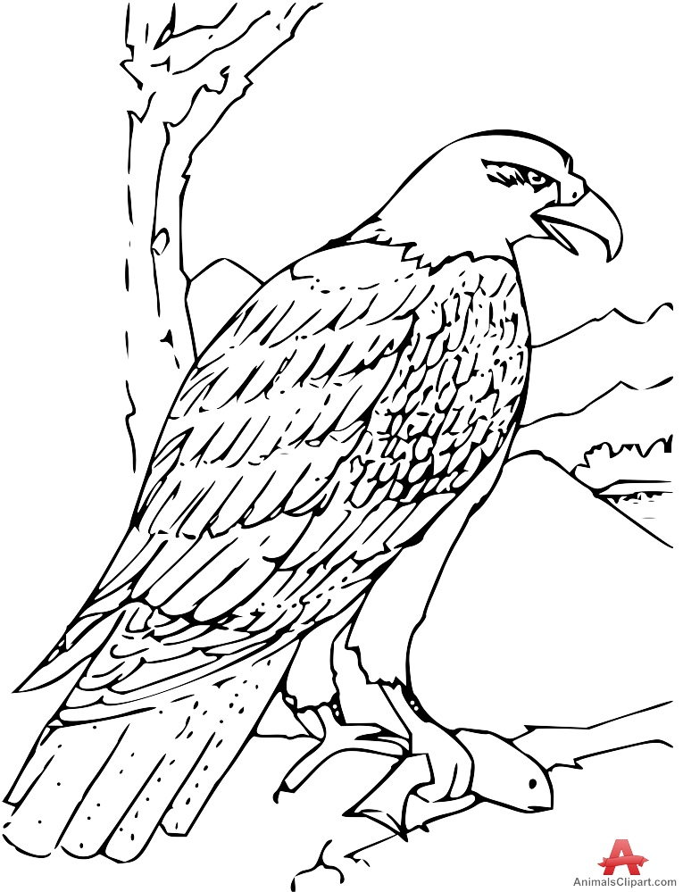Free Cliparts Eagle Drawing, Download Free Cliparts Eagle Drawing png ...