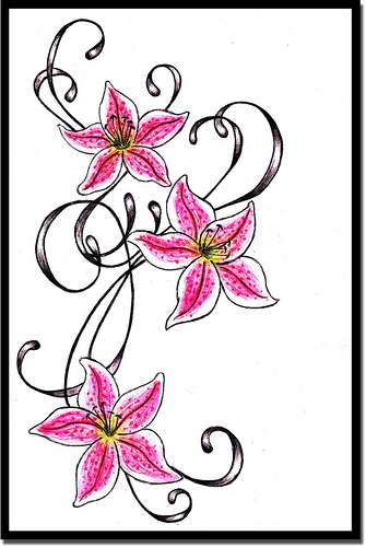 Stargazer Lily Cliparts