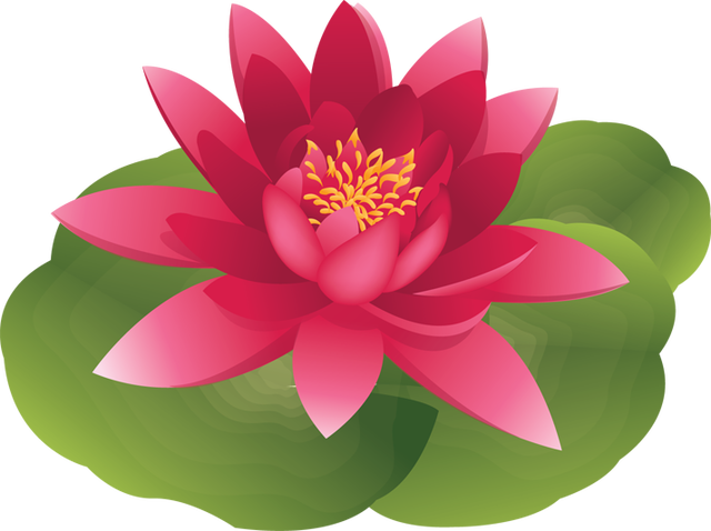 Stargazer Lily Cliparts