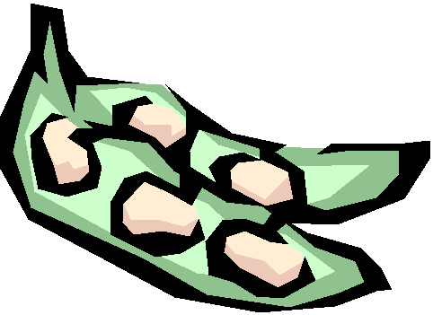 Soybean 20clipart