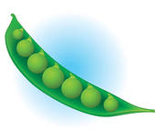 Broad Clipart