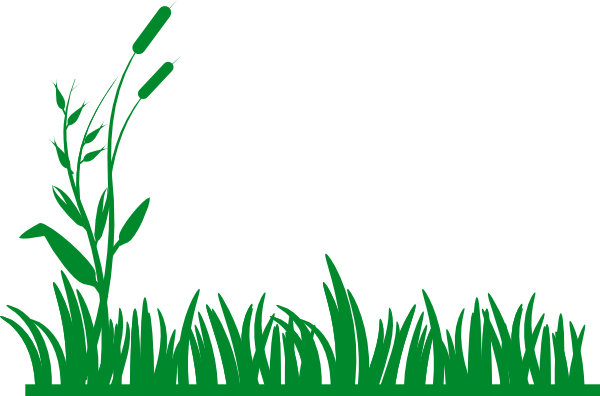 Cartoon Bush Cliparts