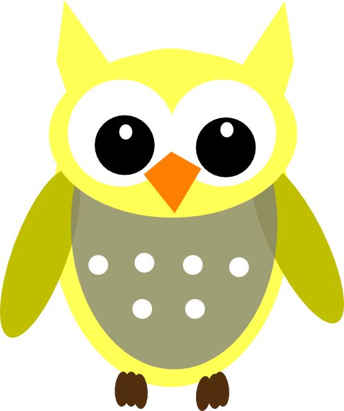 Cartoon Owl Pictures