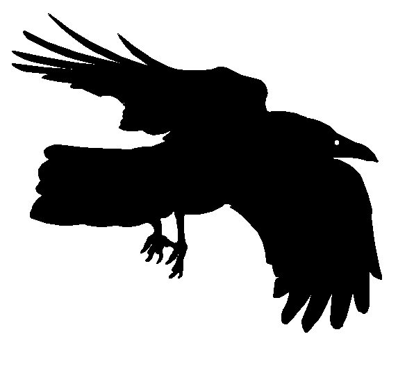 Black Raven Cliparts