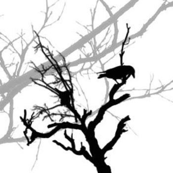 Halloween Raven Clipart