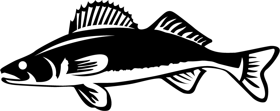 Walleye Outline Cliparts | Free Download Clip Art | Free Clip Art | on