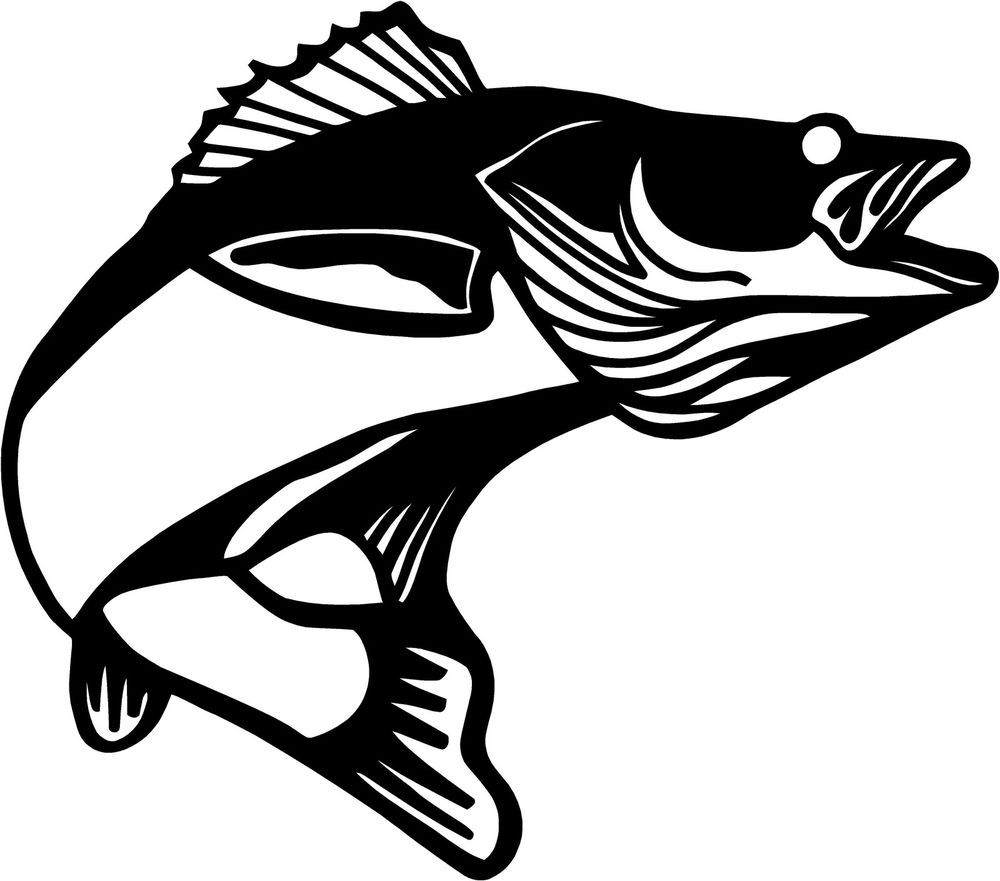 Free Walleye Silhouette, Download Free Walleye Silhouette png images