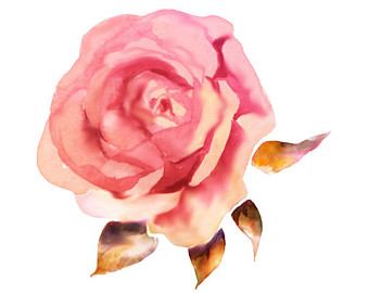 Paint Flower Cliparts