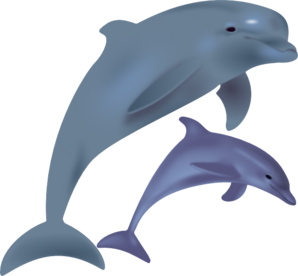 Baby Dolphin Cliparts