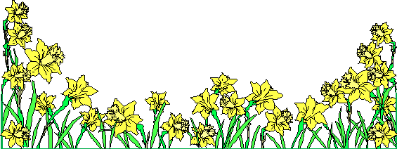 daffodil border clip art