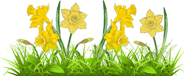 Grass Clipart Png Picture Daffodil Clip Art Border Cl - vrogue.co