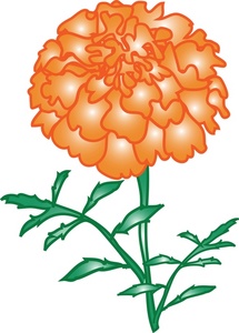 Marigolds Cliparts