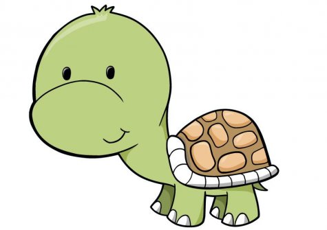Baby Turtle Cliparts