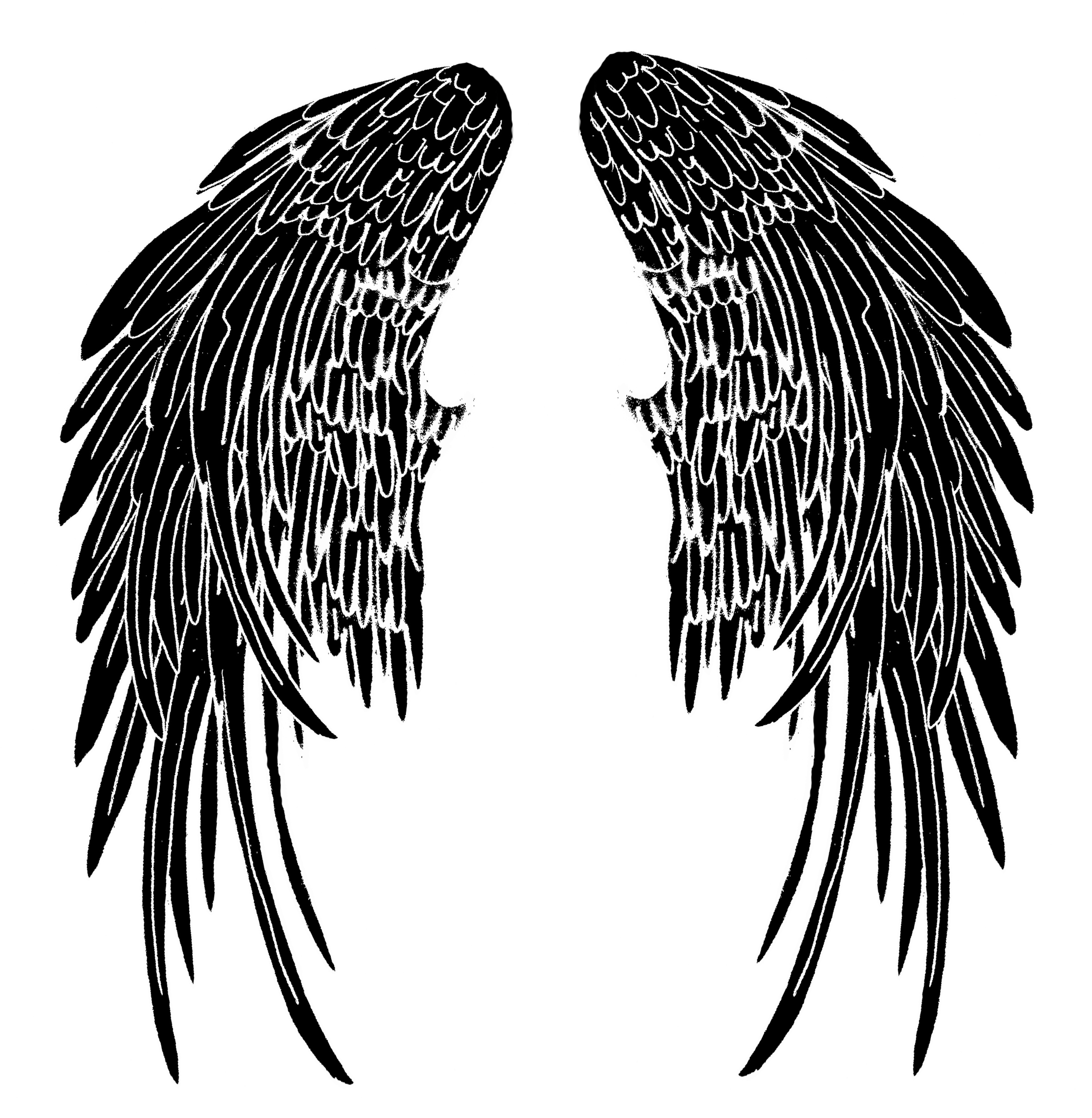 Wings Tattoos Clipart Transparent Background - Dark Angel Wings Drawing PNG  Image | Transparent PNG Free Download on SeekPNG
