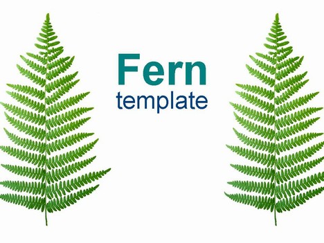 Fern Clipart
