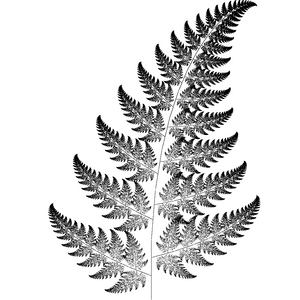 Free Fern Clip Art Black And White, Download Free Fern Clip Art Black ...