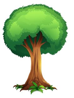 Tree clipart 6 big tree clip art bing image
