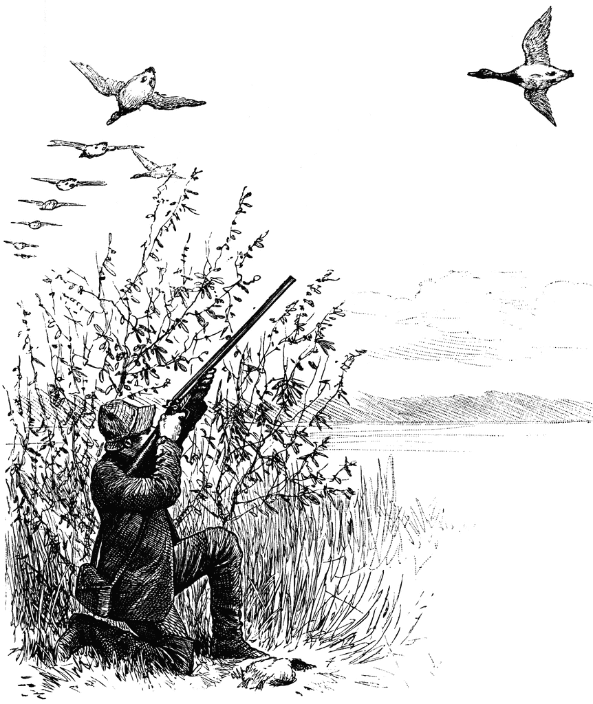 Wild Game Cliparts