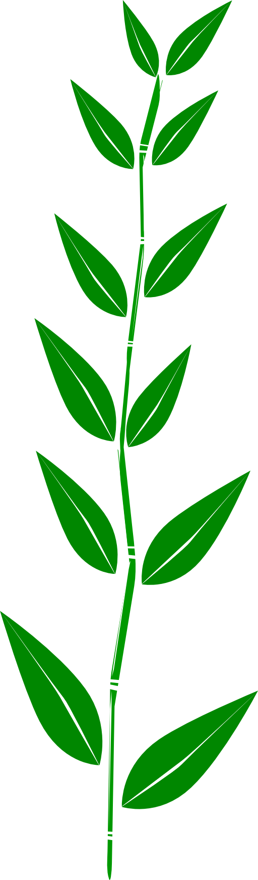Leaf clipart border