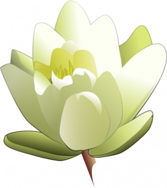 Water Lily Clipart