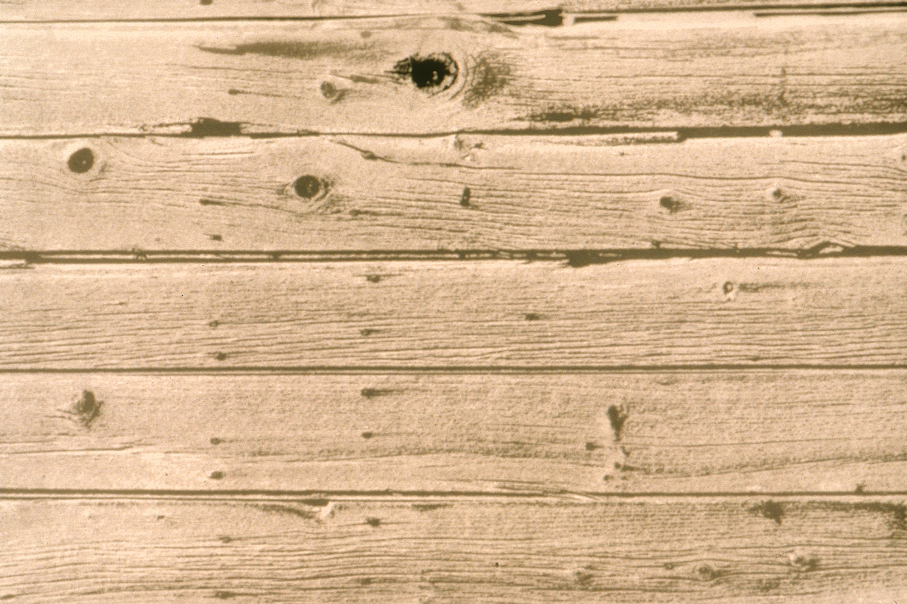 Background Clipart