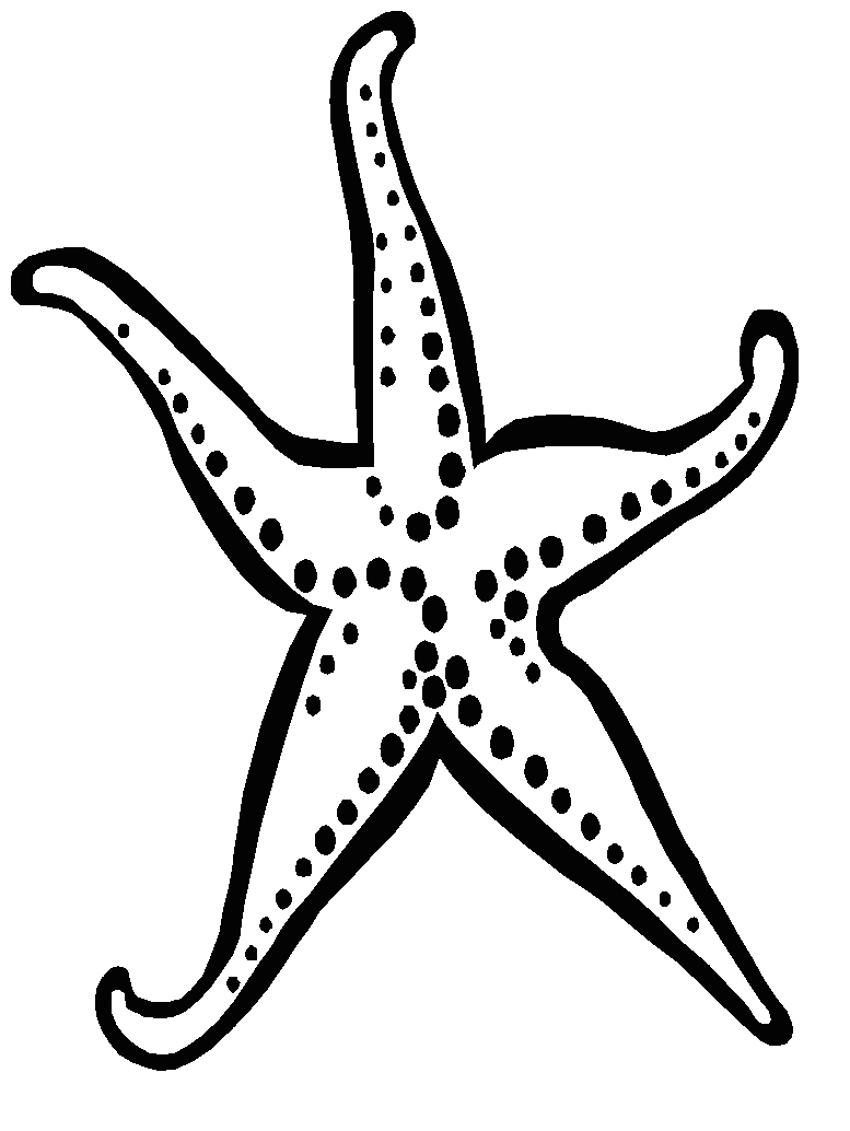 Free Starfish Drawing Cliparts, Download Free Starfish Drawing Cliparts ...