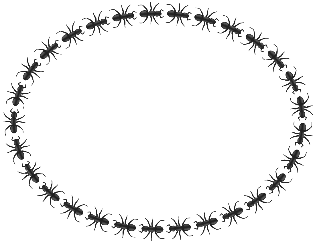Ants clipart borders