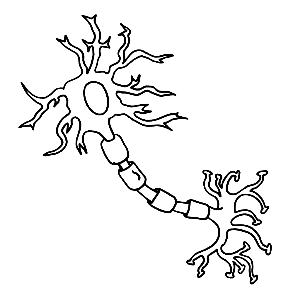 free-neuron-cliparts-download-free-neuron-cliparts-png-images-free