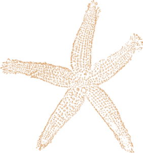 Tan Starfish Wedding Clip Art at Clker