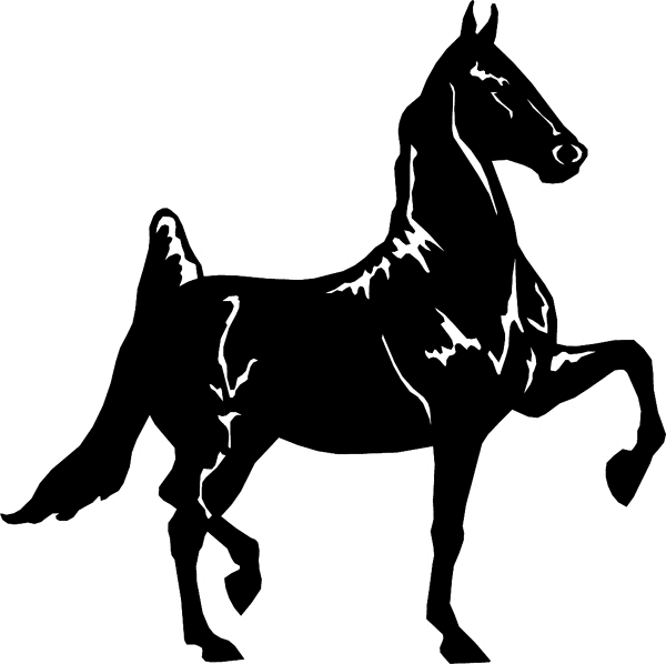 Tennessee Walker silhouette vinyl decal. Personalize on line