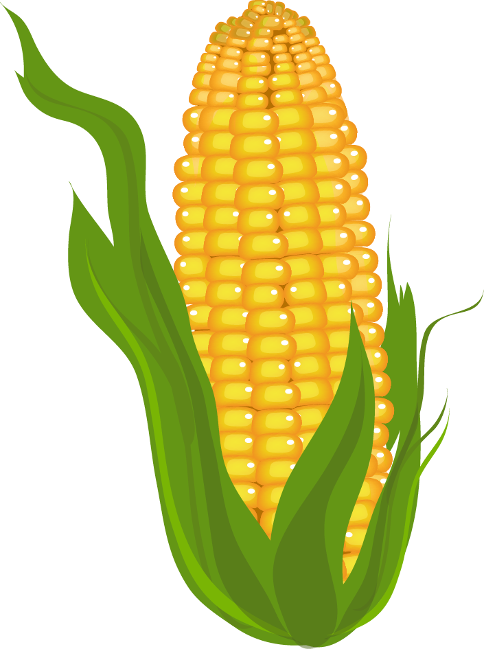 Corn Plant Clip Art