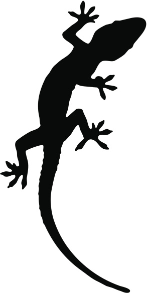 Gecko Silhouette