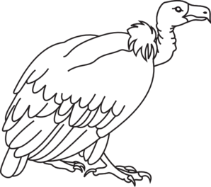 Vulture bird clipart